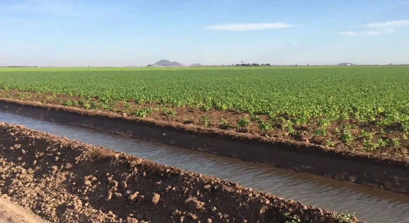 Exigen productores revisión de Ley de Aguas