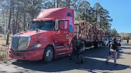 Detienen camión con madera ilegal en Guachochi